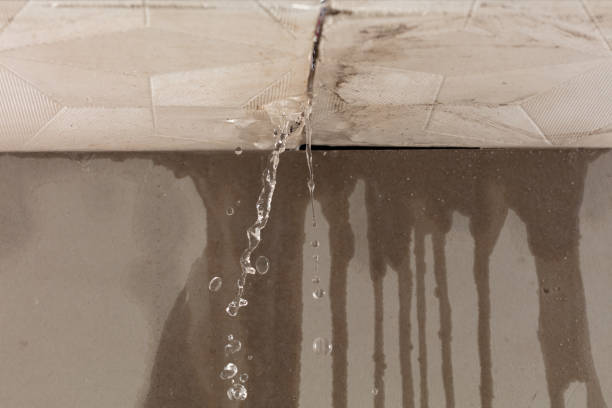 Professional Burst Pipe Cleanup technician working in Sterling Heights, MI